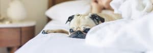 Make this the Year of Better Sleep