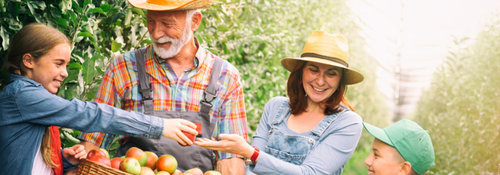 Chiropractic Kirkland WA Family Picking Apples