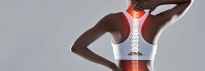 Chiropractic Kirkland WA Protecting The Spines Curvatures