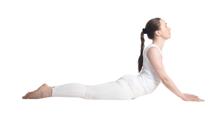 Chiropractic Kirkland WA Low Cobra No Hands Chiropractic Kirkland WA Low Cobra No Hands